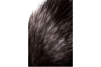 Черная анальная втулка с хвостом чернобурой лисы - размер М