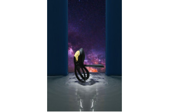 Черное эрекционное виброкольцо Bayek с пультом ДУ Черное эрекционное виброкольцо Bayek с пультом ДУ