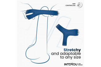 Синее интерактивное эрекционное виброкольцо Rank