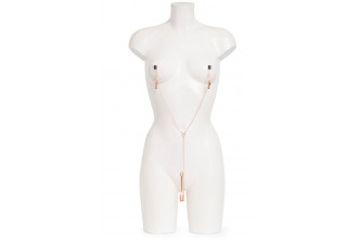 Золотистые зажимы для сосков и клитора All Sensation Nipple and Clitoral Chain
