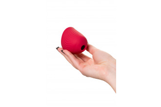 Красный вакуум-волновой стимулятор клитора Birdie