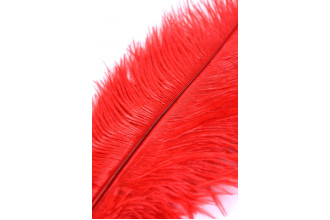 Красное страусиное пёрышко - 40 см. Красное страусиное пёрышко - 40 см.