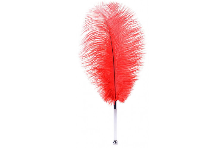 Красное страусиное пёрышко - 40 см. Красное страусиное пёрышко - 40 см.