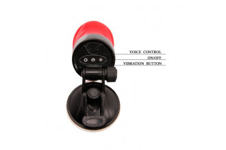 Мастурбатор-вагина Delia с вибрацией и голосом