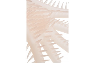 Телесная перчатка-мастурбатор для чувственного массажа