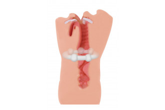 Мастурбатор-ротик Hot Babe Мастурбатор-ротик Hot Babe