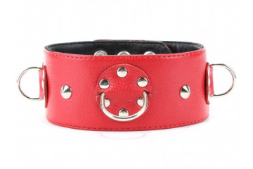 Красный кожаный ошейник с короткими шипами