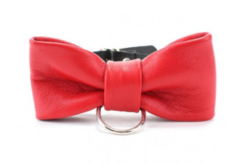 Эффектный красный ошейник-бабочка на черных ремнях