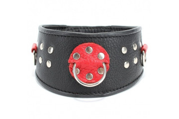 Кожаный ошейник с клепками и кольцами