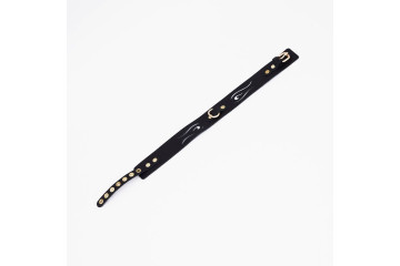 Черный кожаный ошейник с золотистой фурнитурой