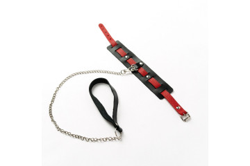 Черный ошейник с красным ремешком и поводком