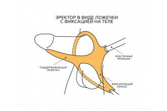 Телесный эректор-ложечка с фиксацией на ремешках MEN STYLE