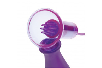 Вакуумные помпы для груди с вибрацией Remote Control Vibrating Nipple Suckers