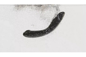 Темно-серый стимулятор G-точки Womanizer OG c технологией Pleasure Air и вибрацией - 17,7 см.