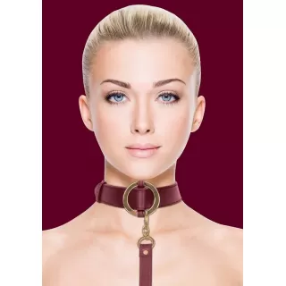 Бордовый ошейник с поводком Collar With Leash бордовый 