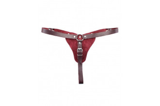 Бордовые трусики с кольцом для насадок Maroon Panties