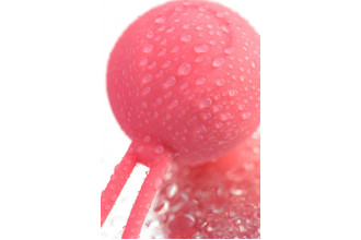 Коралловый вагинальный шарик ROSY