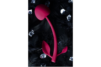 Бордовая вагинальная вишенка WILD CHERRY - 14,5 см.