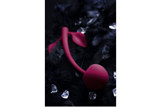 Бордовая вагинальная вишенка WILD CHERRY - 14,5 см.