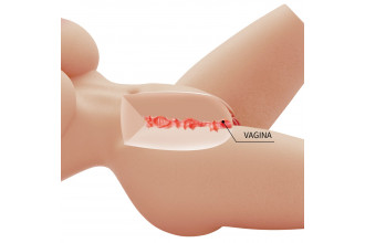 Телесный мастурбатор-торс Lily