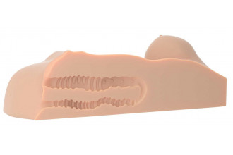 Телесный мастурбатор-торс Perfect DD Телесный мастурбатор-торс Perfect DD