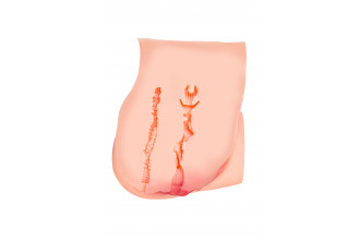 Телесный мастурбатор в форме попки с 2 любовными входами