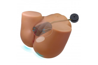 Мастурбатор Wendy с 2 любовными тоннелями