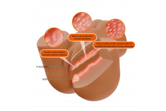 Мастурбатор Wendy с 2 любовными тоннелями