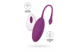 Фиолетовое силиконовое виброяйцо Purr