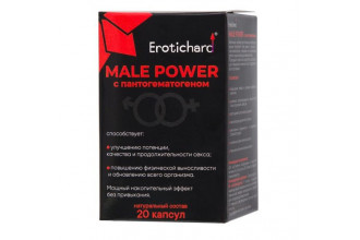 Капсулы для мужчин Erotichard male power с пантогематогеном - 20 капсул (0,370 гр.)