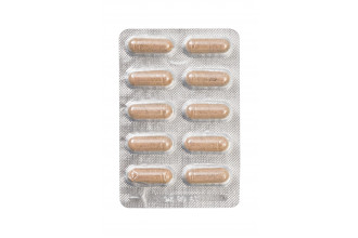 Капсулы для мужчин Erotist Silver Dragon для усиления эрекции - 10 капсул