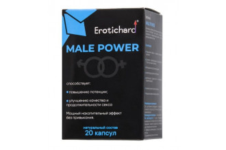 Капсулы для мужчин Erotichard male power - 20 капсул (0,370 гр.)